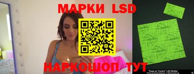 стафф Гатчина