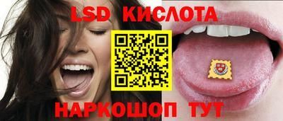 стафф Гатчина
