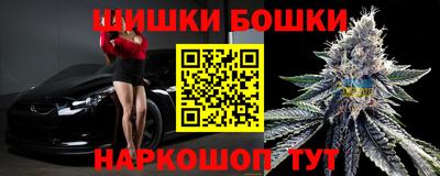 стафф Гатчина