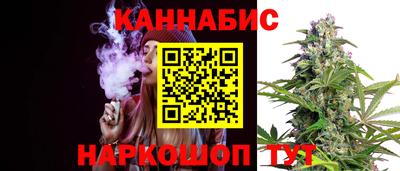 стафф Гатчина