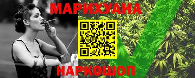 стафф Гатчина