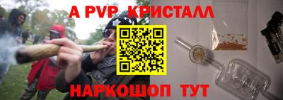 стафф Гатчина