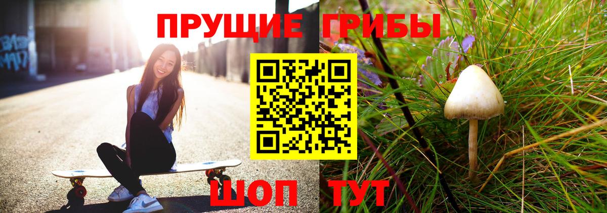 Оренбург  Галлюциногенные грибы Magic Shrooms  Псилоцибиновые грибы MAGIC MUSHROOMS  Вход с VPN 